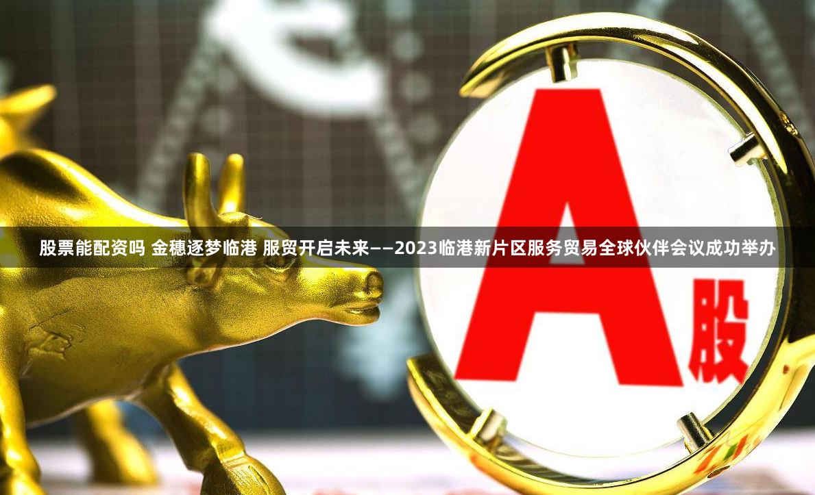 股票能配资吗 金穗逐梦临港 服贸开启未来——2023临港新片区服务贸易全球伙伴会议成功举办