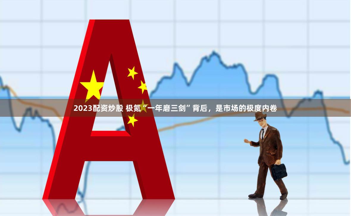 2023配资炒股 极氪“一年磨三剑”背后，是市场的极度内卷