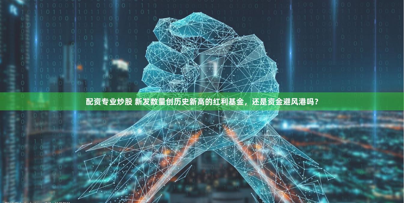 配资专业炒股 新发数量创历史新高的红利基金，还是资金避风港吗？