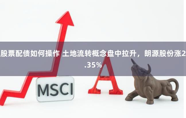 股票配债如何操作 土地流转概念盘中拉升，朗源股份涨2.35%