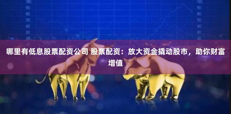 哪里有低息股票配资公司 股票配资：放大资金撬动股市，助你财富增值