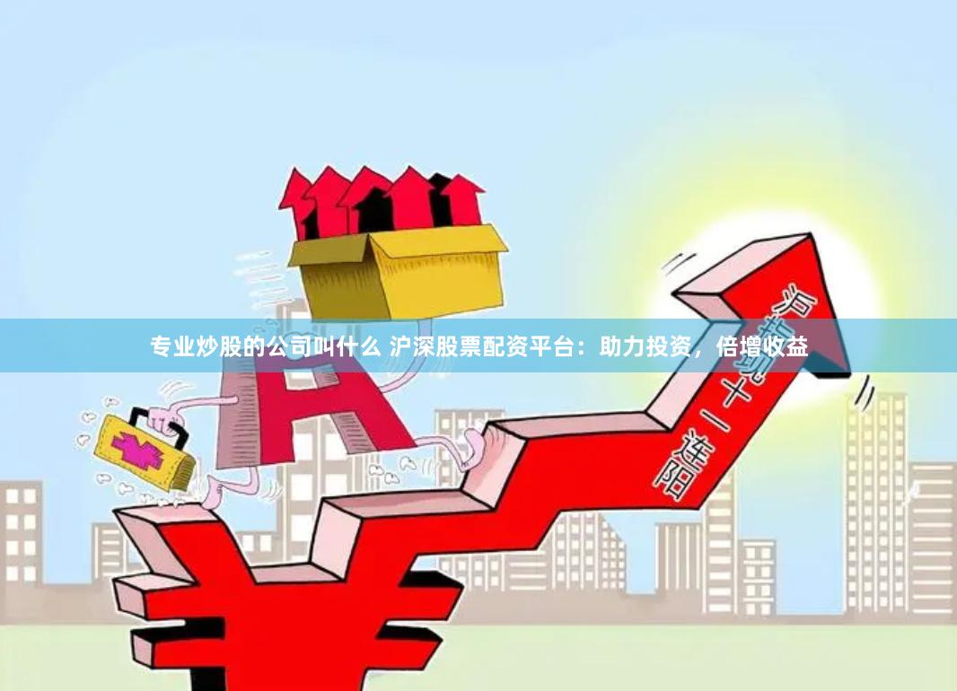 专业炒股的公司叫什么 沪深股票配资平台：助力投资，倍增收益